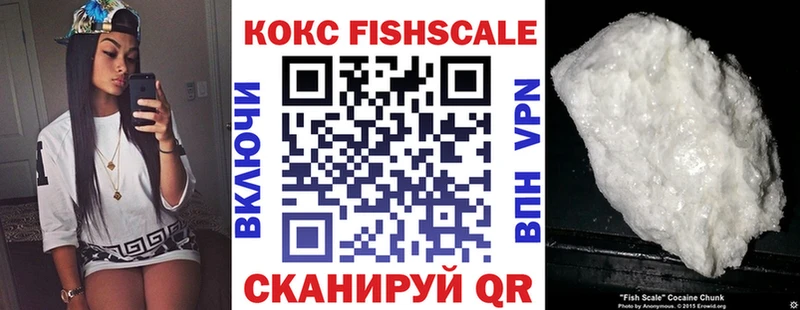 где купить наркоту  Новоалтайск  Cocaine Fish Scale 