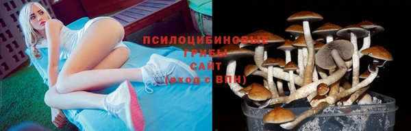 mix Абинск