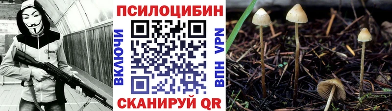 Галлюциногенные грибы Psilocybine cubensis blacksprut онион Новоалтайск