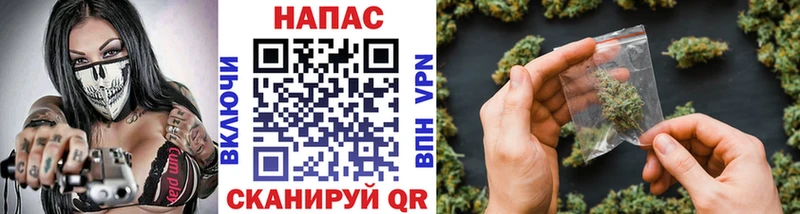 кракен как зайти  сколько стоит  Новоалтайск  Шишки марихуана марихуана 